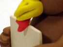 Turkey waddle, close-up